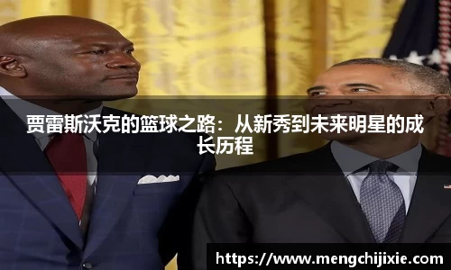 星空综合(中国)官方网站