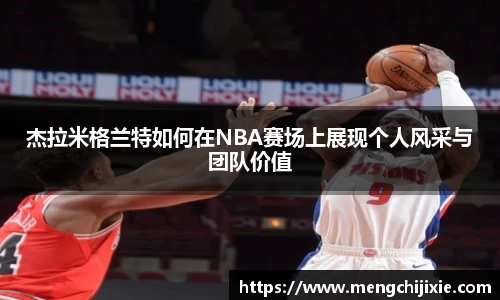 星空.综合体育官网